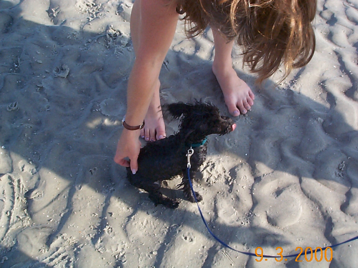 ./2000/Wilmington Sept/DCP00298.JPG